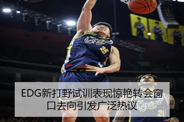 EDG新打野试训表现惊艳转会窗口去向引发广泛热议 - XINGCAISPORTS